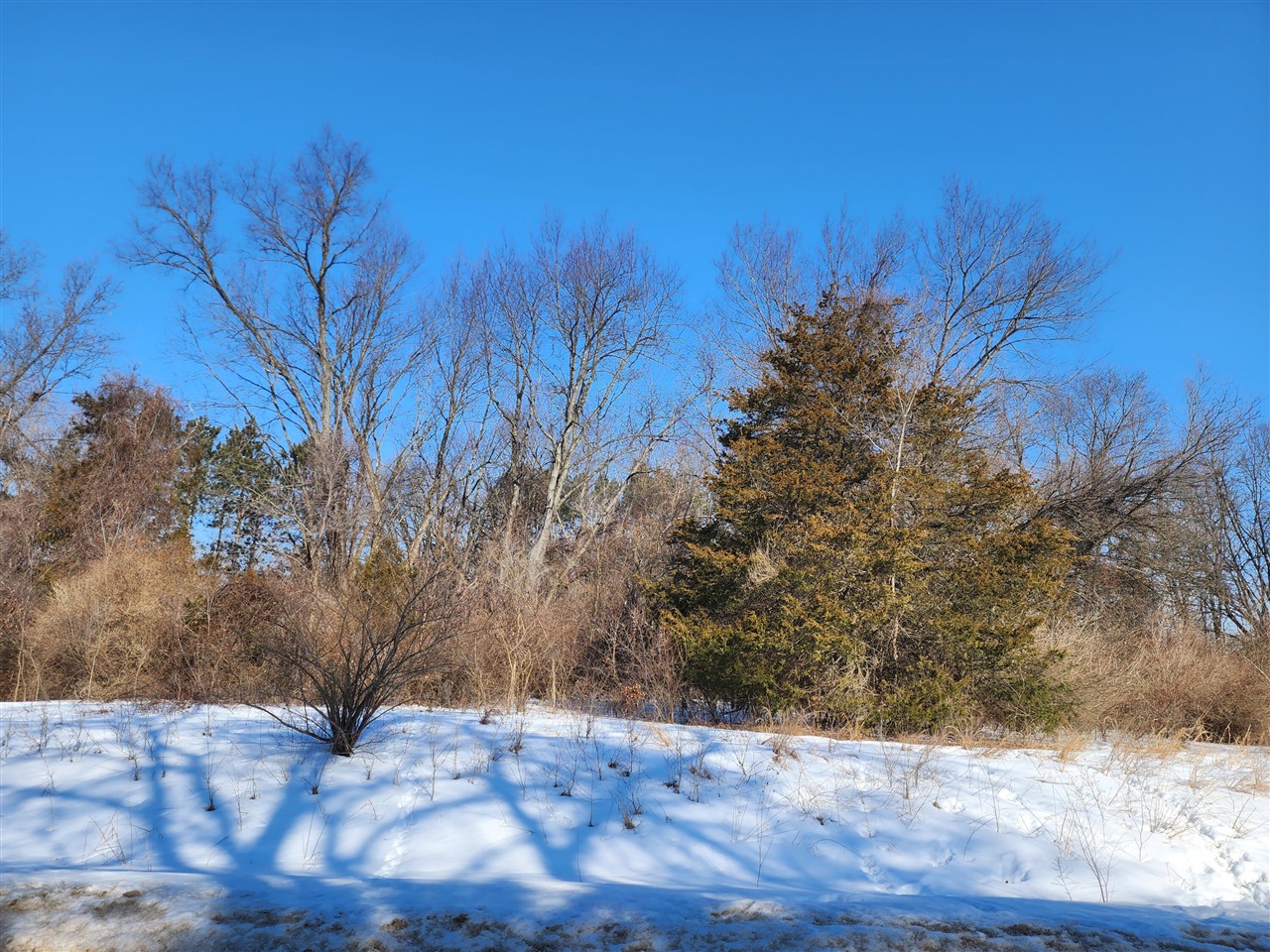 Shorewood Drive, Three Rivers, MI, 49093