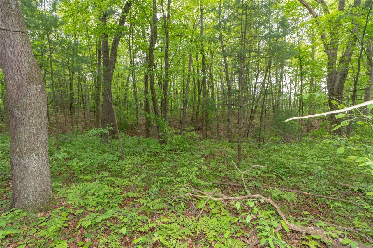 Homes for sale in Twin Lake, MI | 160 Hadrians Wy, Twin Lake, MI 49457 | MLS# 70515761