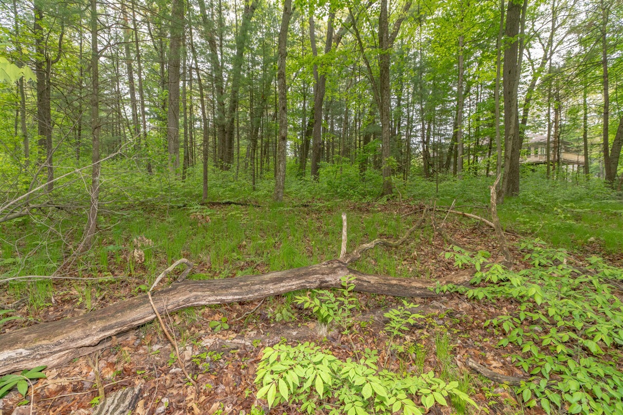 Homes for sale in Twin Lake, MI | 160 Hadrians Wy, Twin Lake, MI 49457 | MLS# 70515761