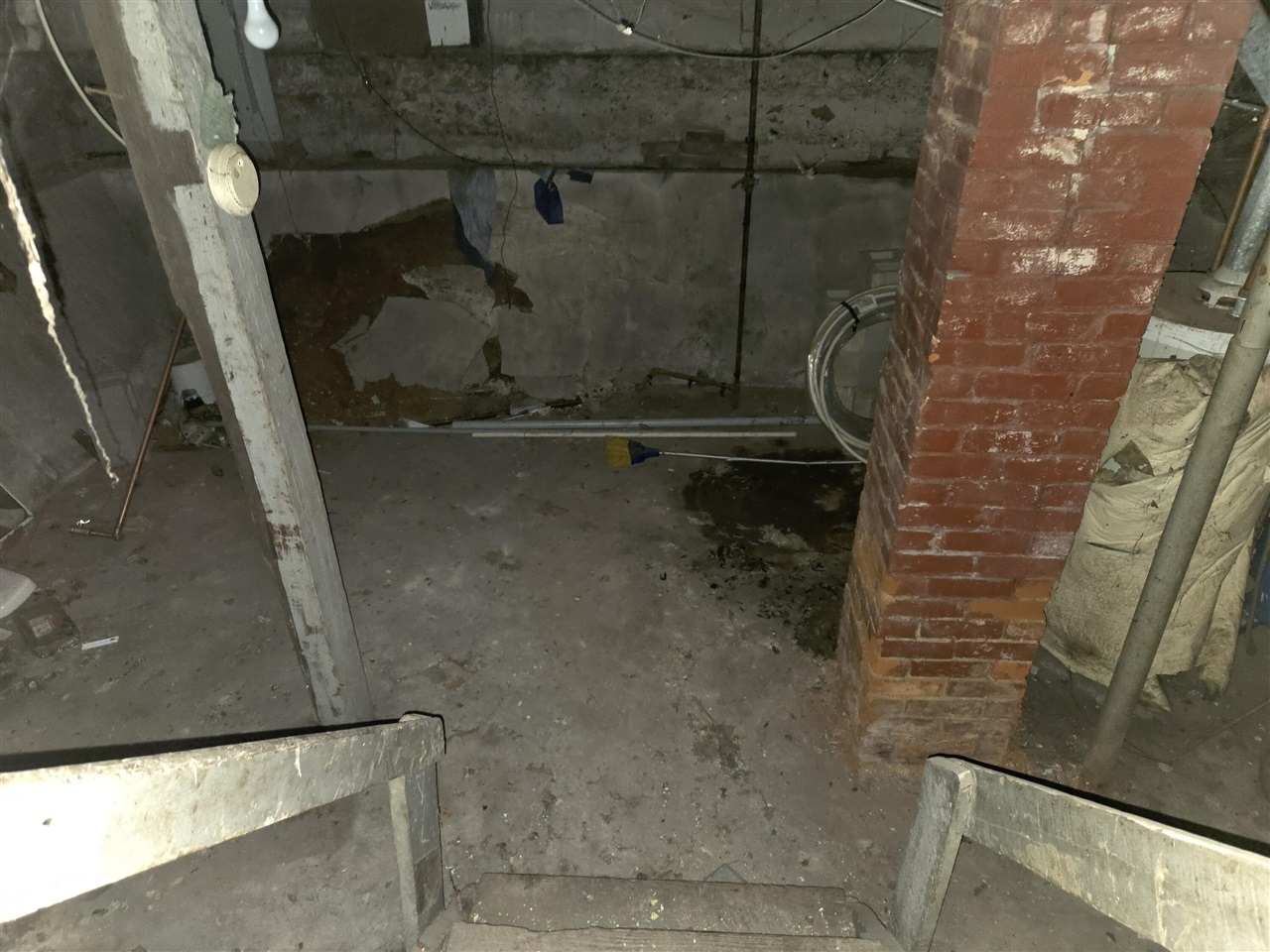 528 Potter Street photo 17