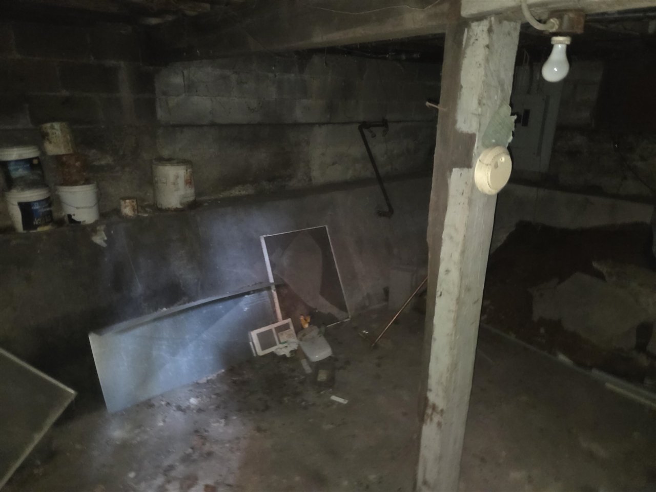 528 Potter Street photo 18
