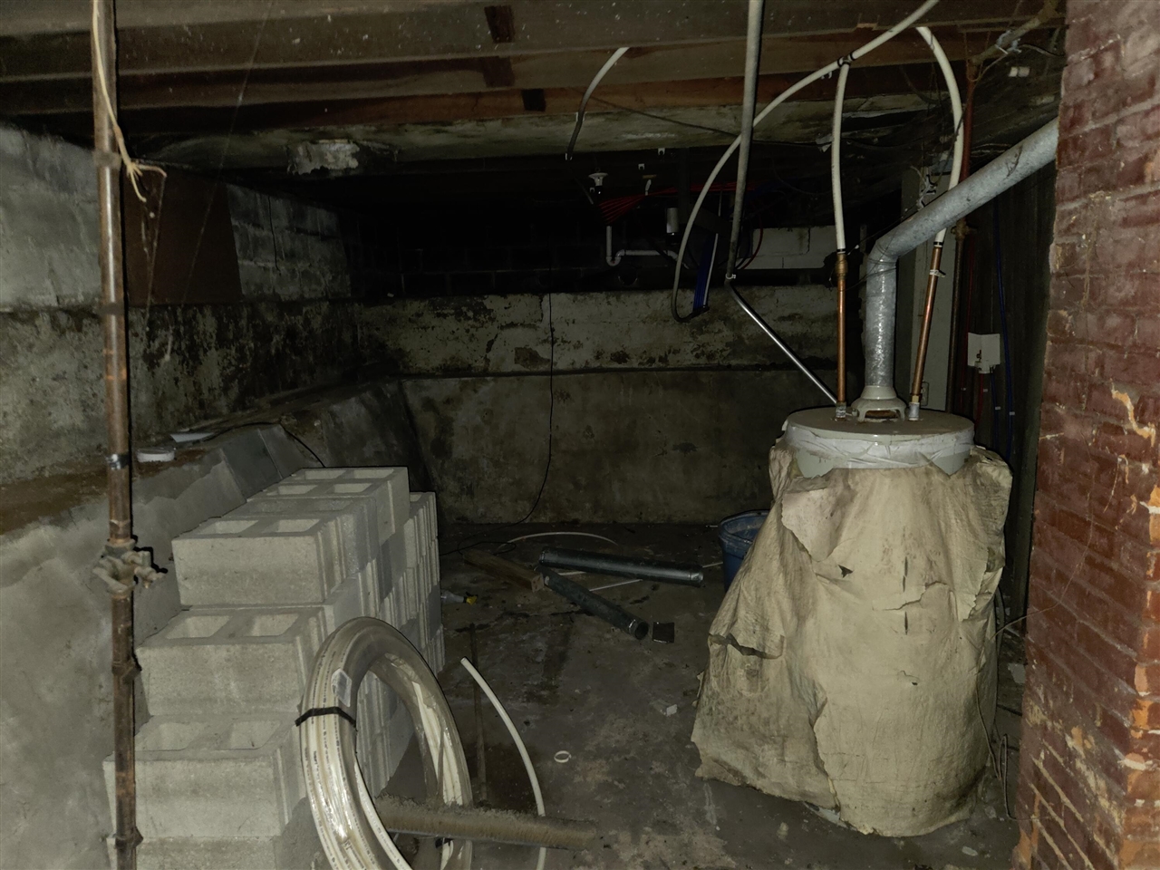 528 Potter Street photo 19