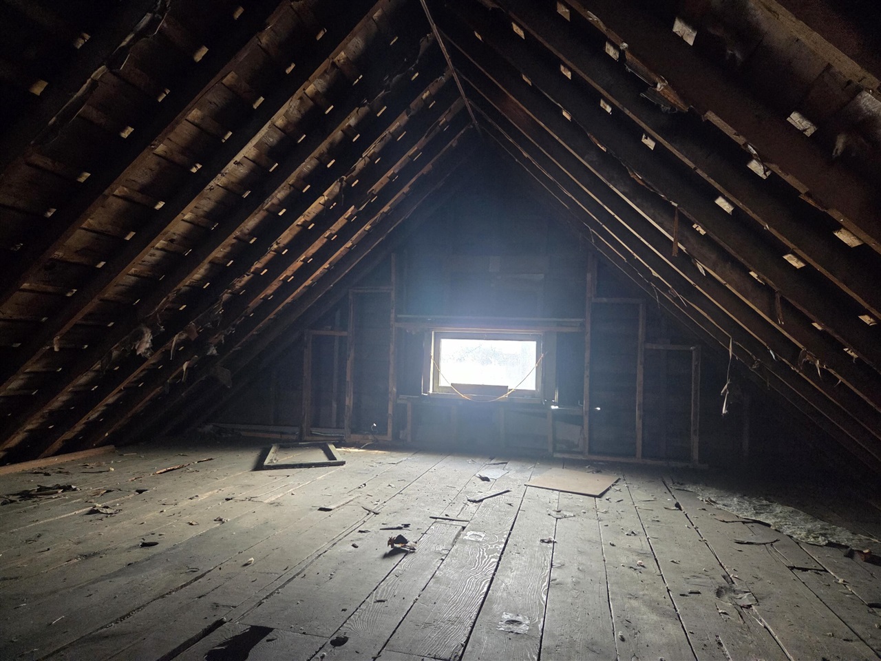528 Potter Street photo 20