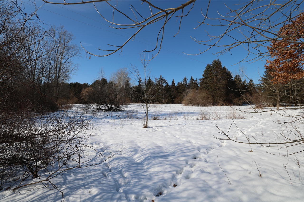 Avenue, Greenville, MI, 48838