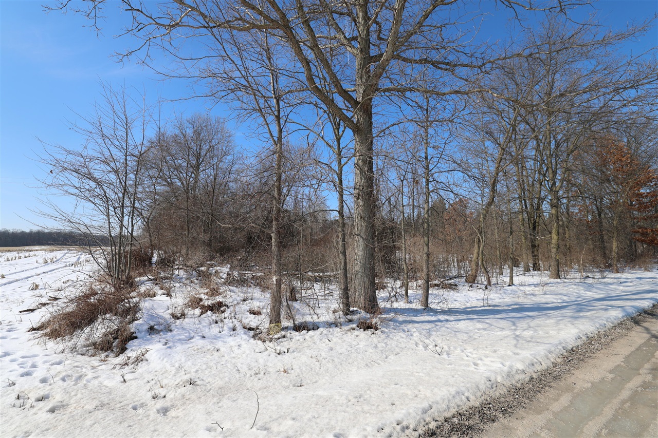 Avenue, Greenville, MI, 48838