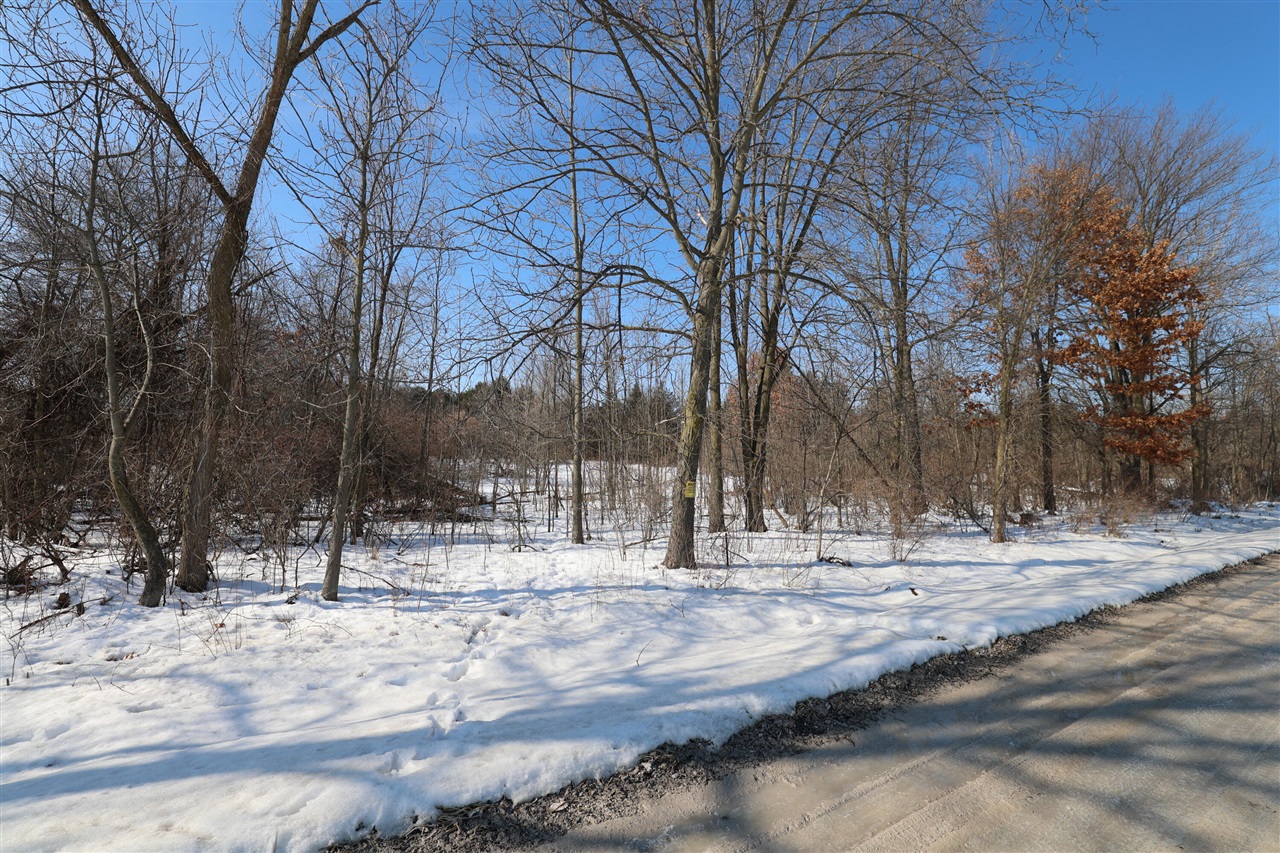 Avenue, Greenville, MI, 48838