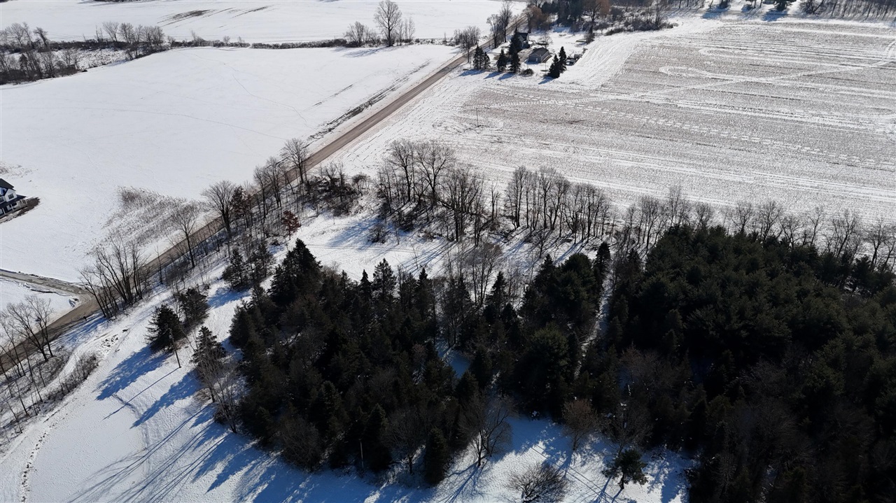 Avenue, Greenville, MI, 48838