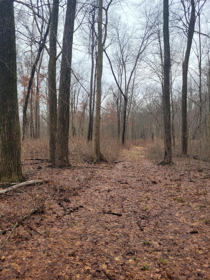 Coohon Road photo 2