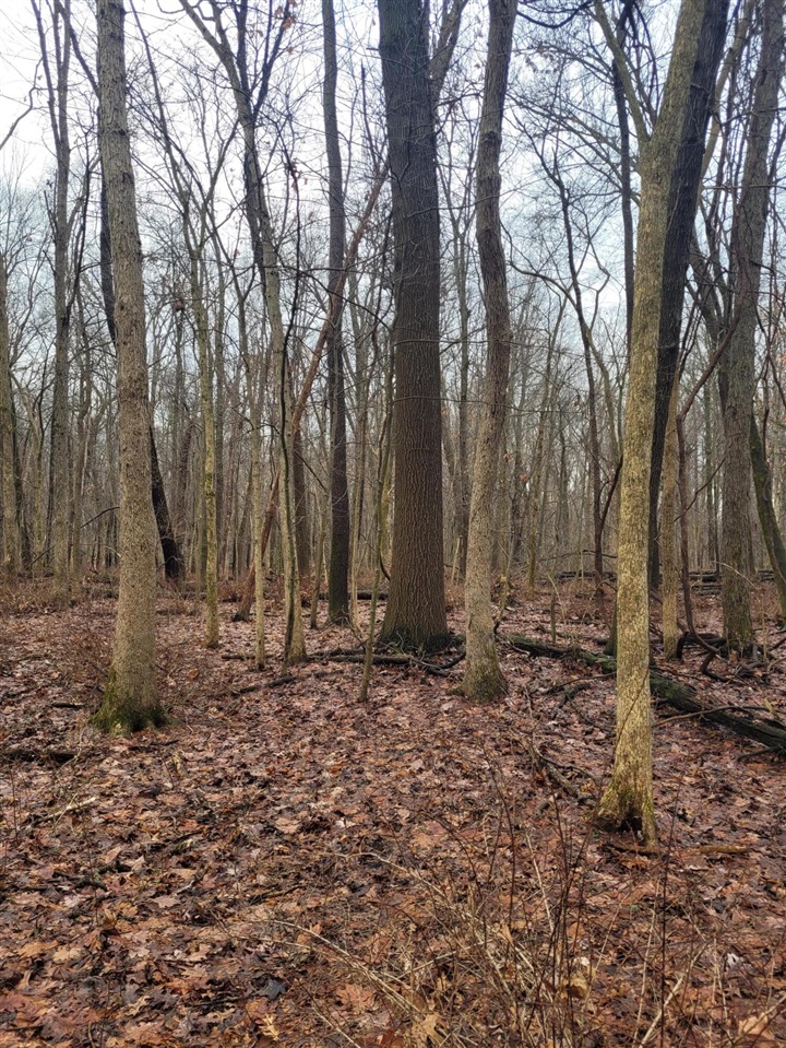 Coohon Road photo 11