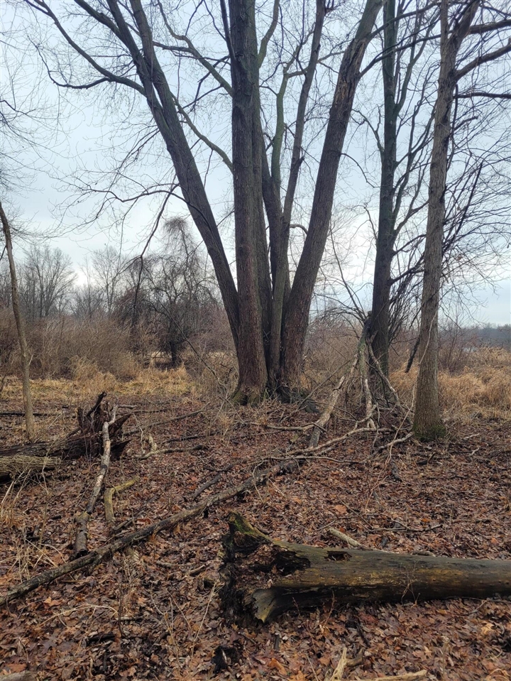 Coohon Road photo 12