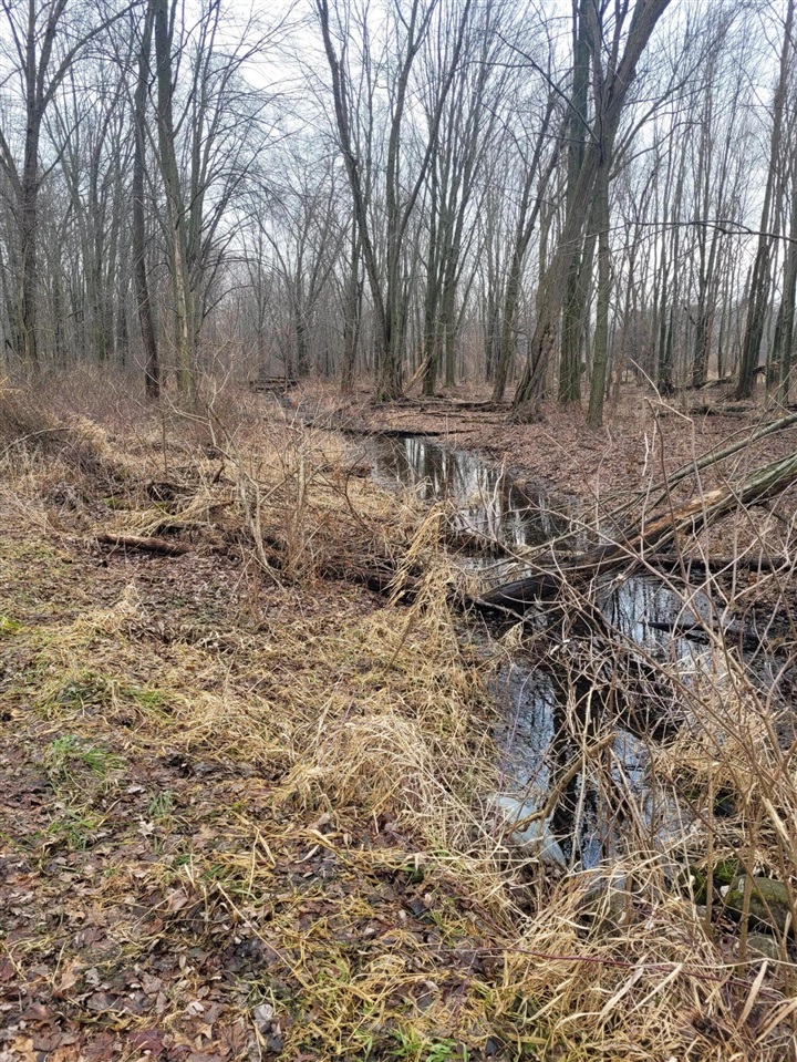 Coohon Road photo 13