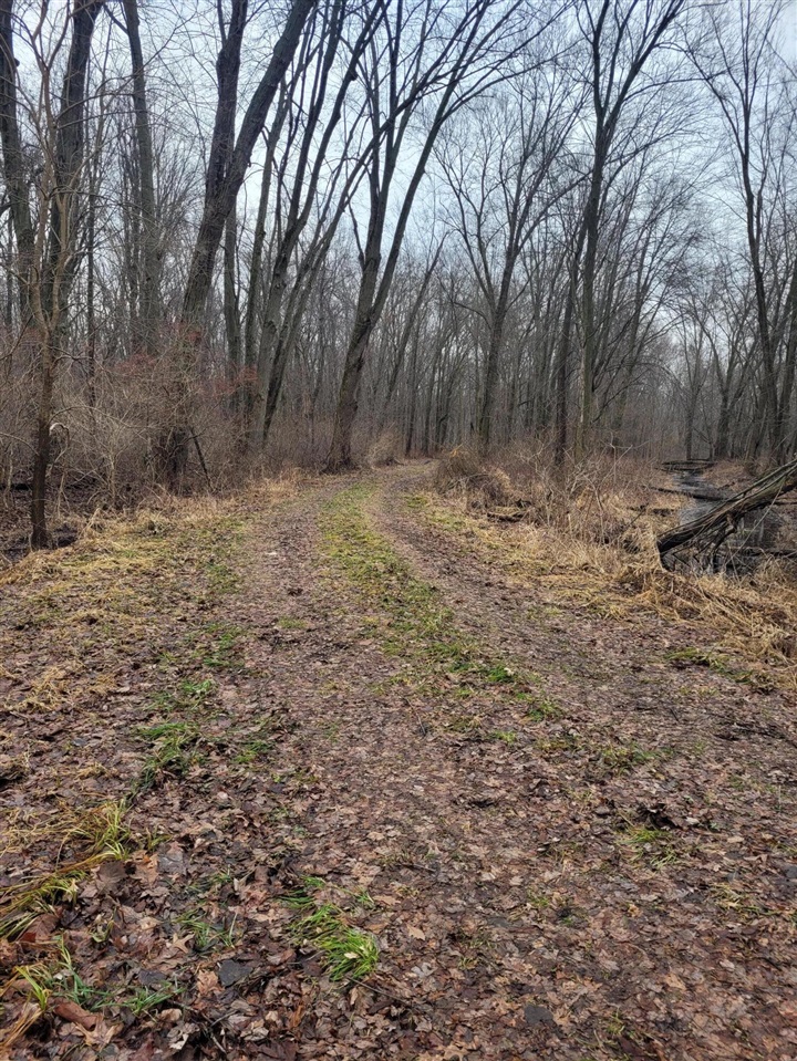 Coohon Road photo 14
