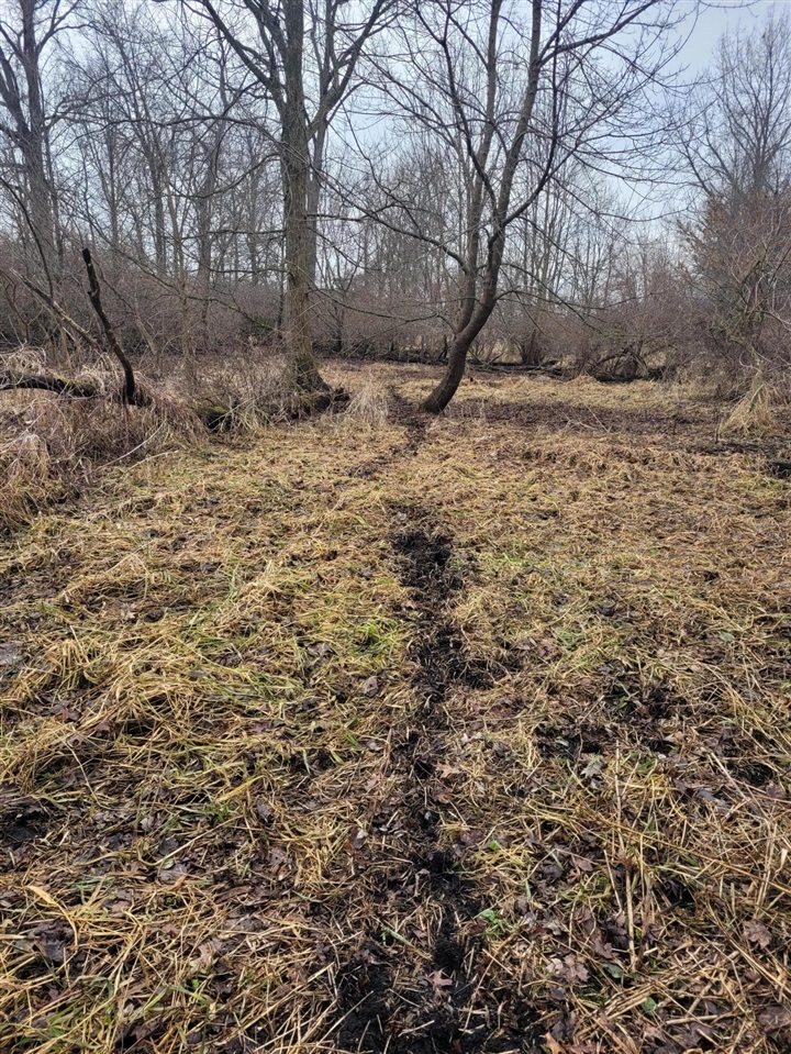 Coohon Road photo 15