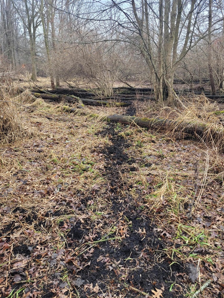 Coohon Road photo 16