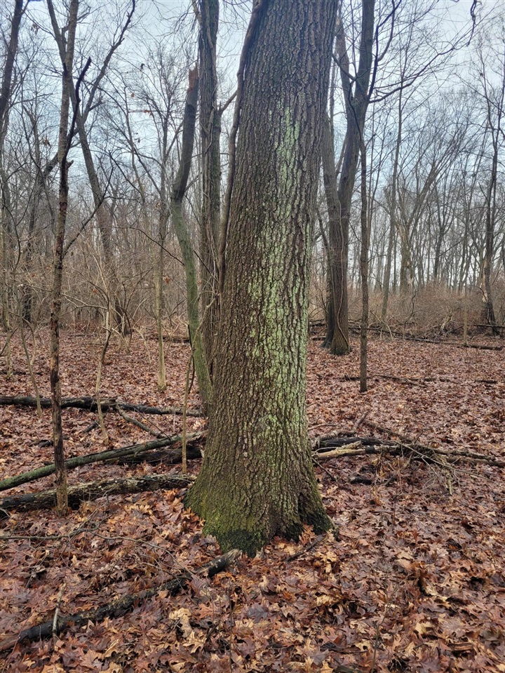 Coohon Road photo 19