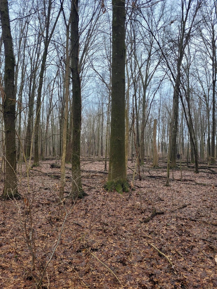 Coohon Road photo 3