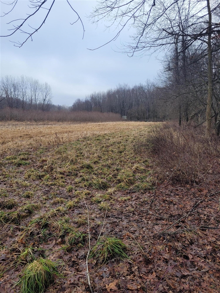 Coohon Road photo 21
