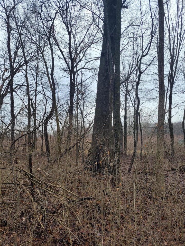 Coohon Road photo 22