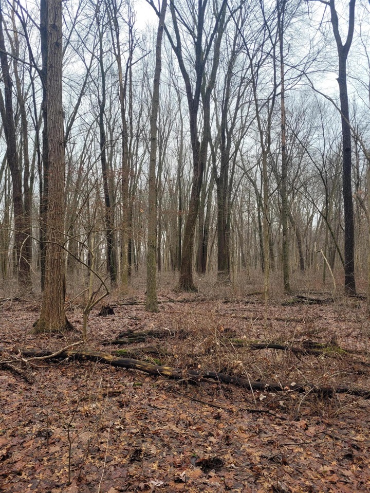 Coohon Road photo 25
