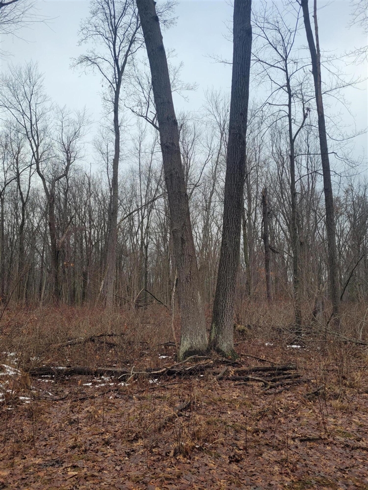 Coohon Road photo 26