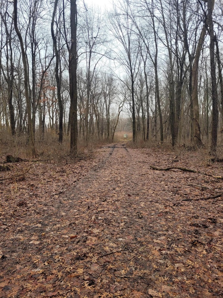 Coohon Road photo 5