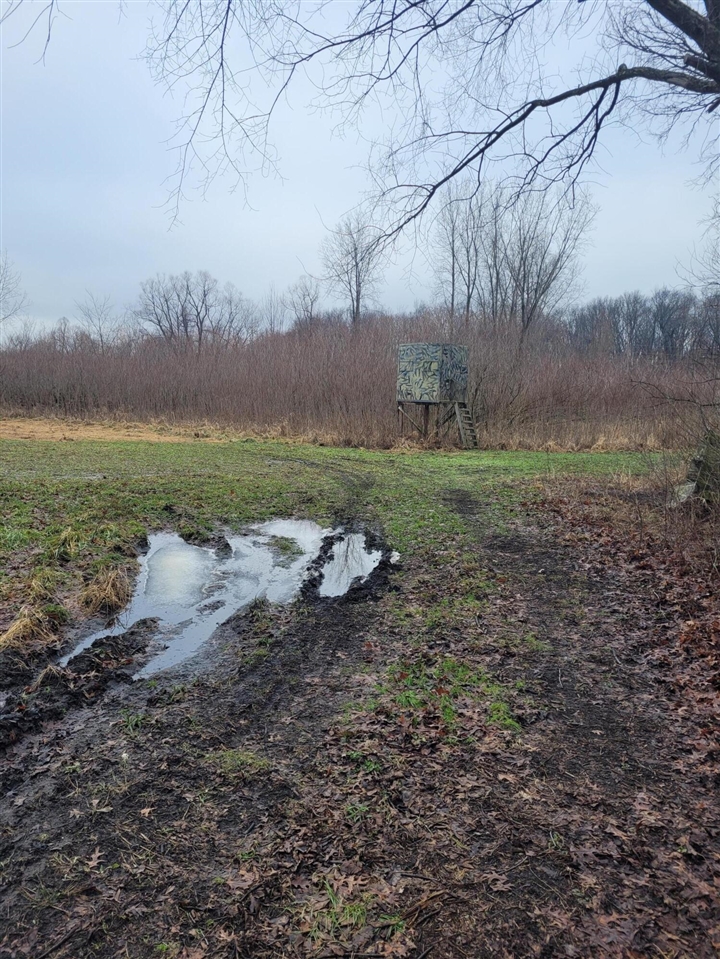 Coohon Road photo 6