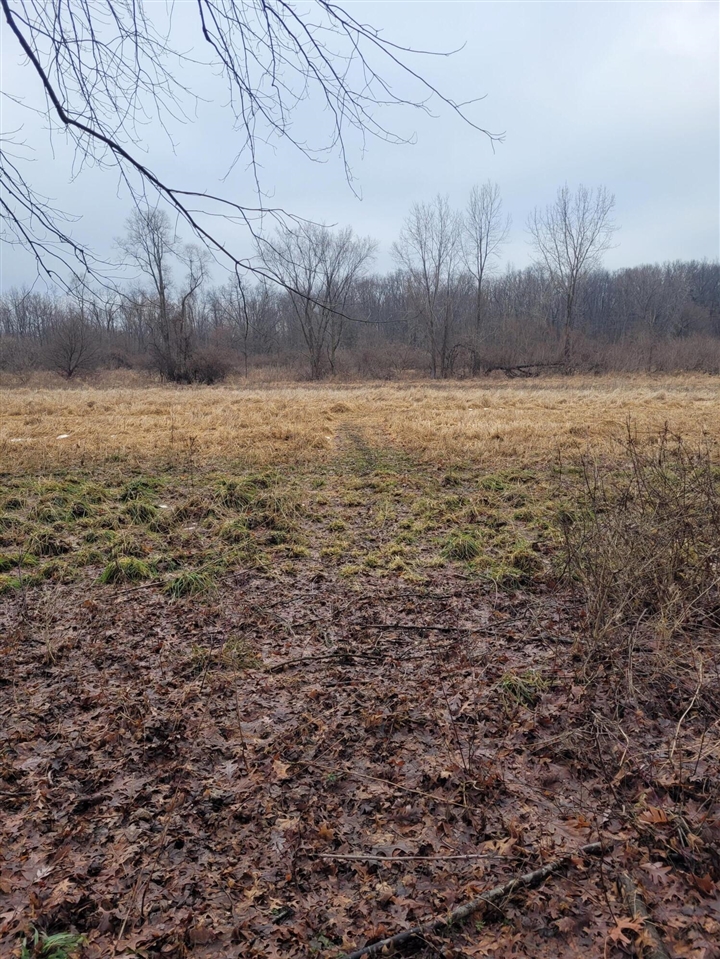 Coohon Road photo 7