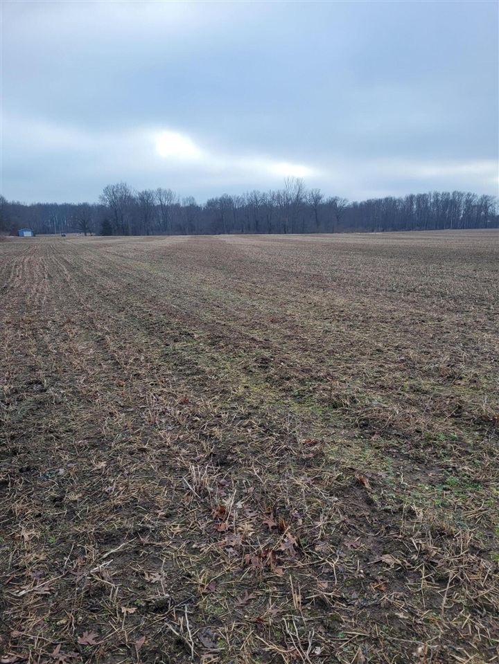 Coohon Road photo 10