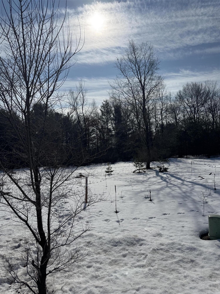 18870 Serenity Drive photo 3