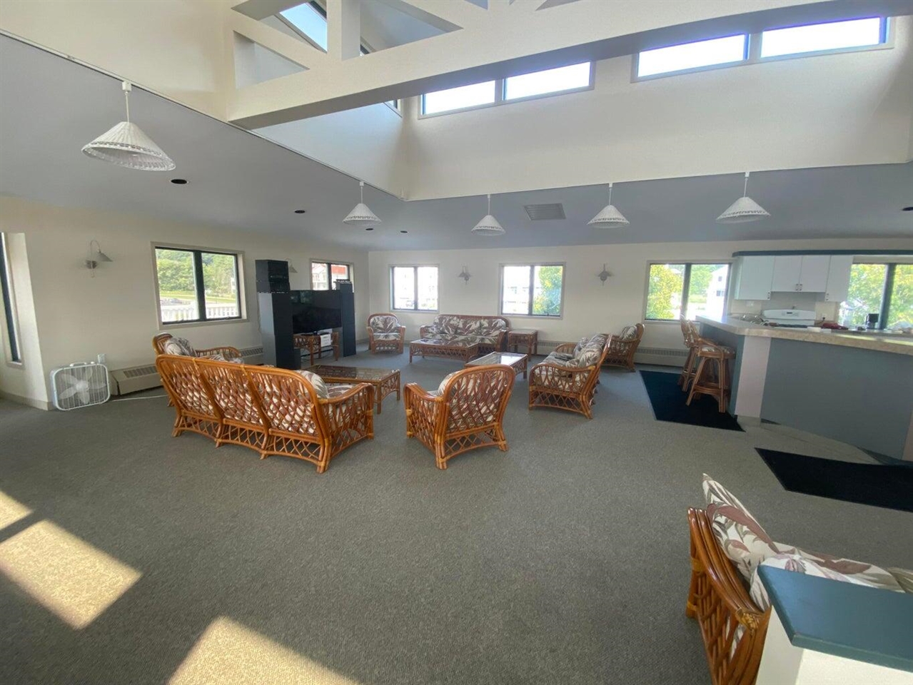 8542 Ellenwood Drive 98 photo 17