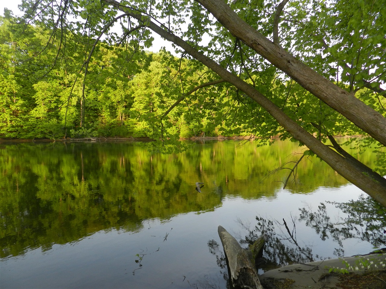 558 Swan River Drive, Benton Harbor, MI, 49022-6160