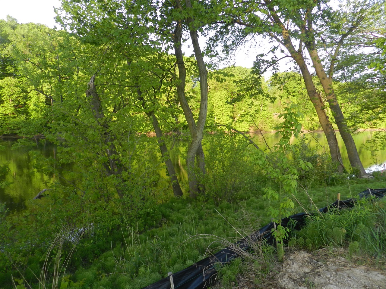 558 Swan River Drive, Benton Harbor, MI, 49022-6160