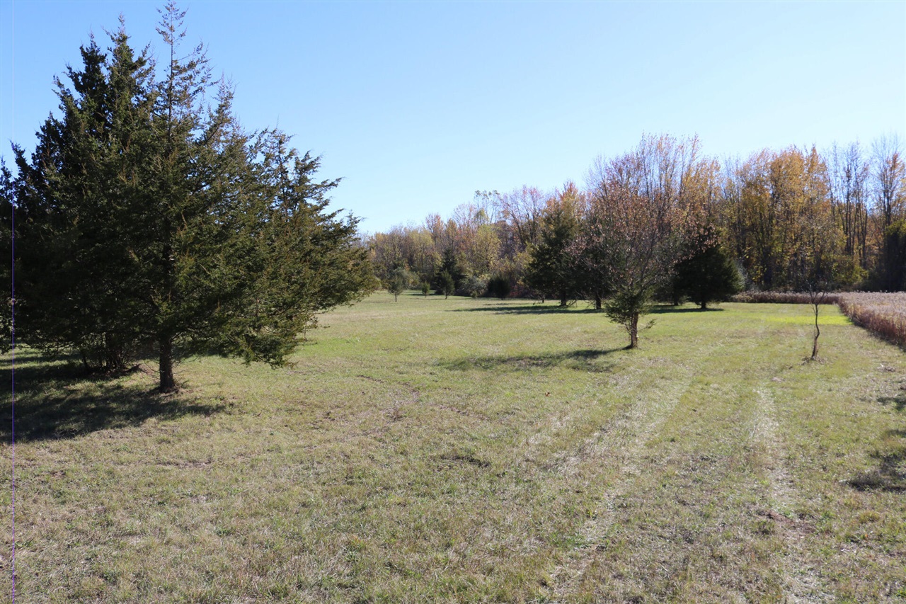 Homes for sale in Whitmore Lake, MI | 000 Jennings Rd, Whitmore Lake, MI 48189 | MLS# 70516008