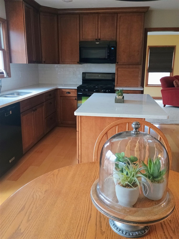 14130 Wildwood Drive, Big Rapids, MI, 49307