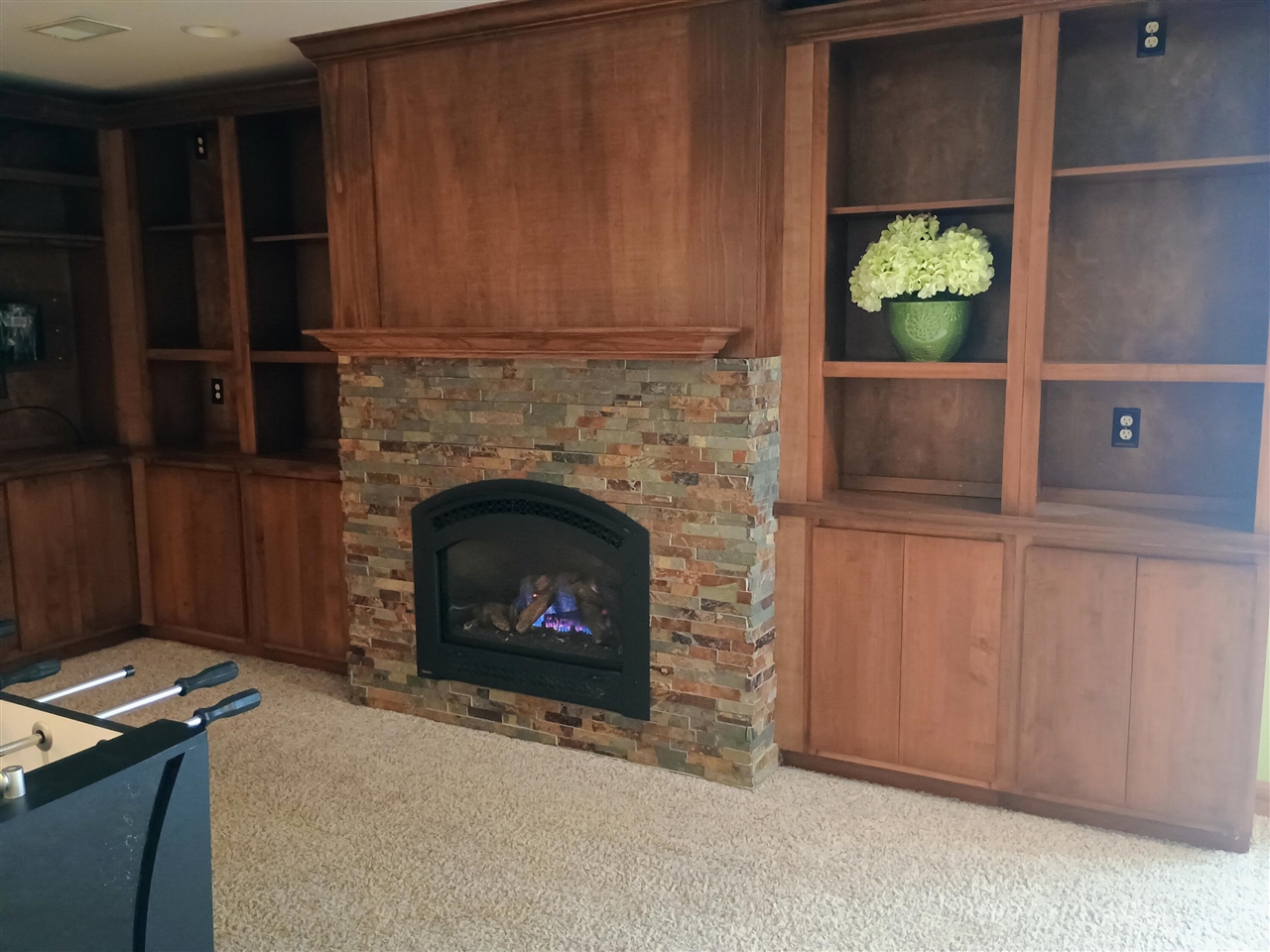 14130 Wildwood Drive, Big Rapids, MI, 49307