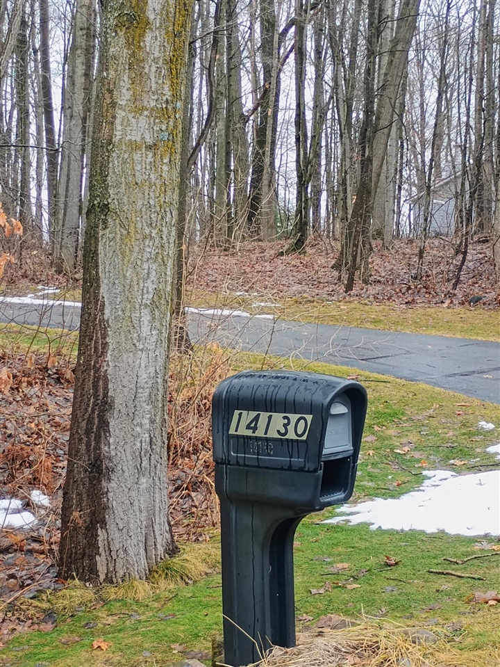 14130 Wildwood Drive, Big Rapids, MI, 49307