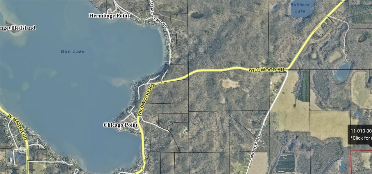 Homes for sale in Delton, MI | Wildwood Rd, Delton, MI 49046 | MLS# 70516035