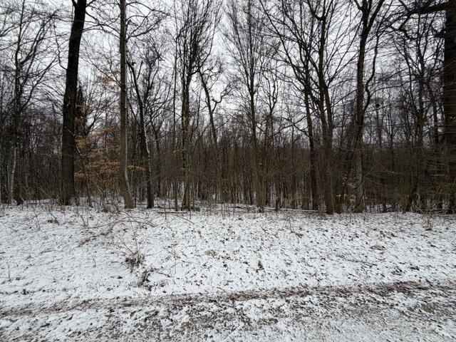 Homes for sale in Delton, MI | Wildwood Rd, Delton, MI 49046 | MLS# 70516035