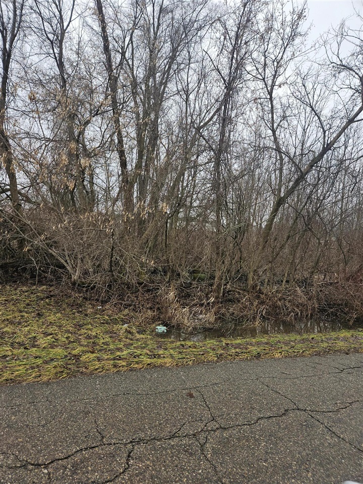 Olivet, MI, 49076-9586