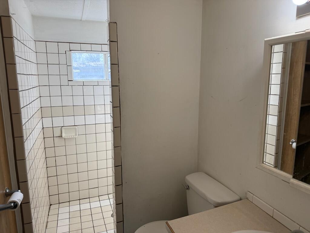 11671 Heron Drive, Lakeview, MI, 48850-9752