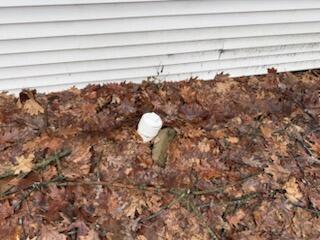 11671 Heron Drive, Lakeview, MI, 48850-9752