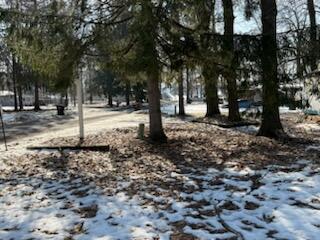 11671 Heron Drive, Lakeview, MI, 48850-9752