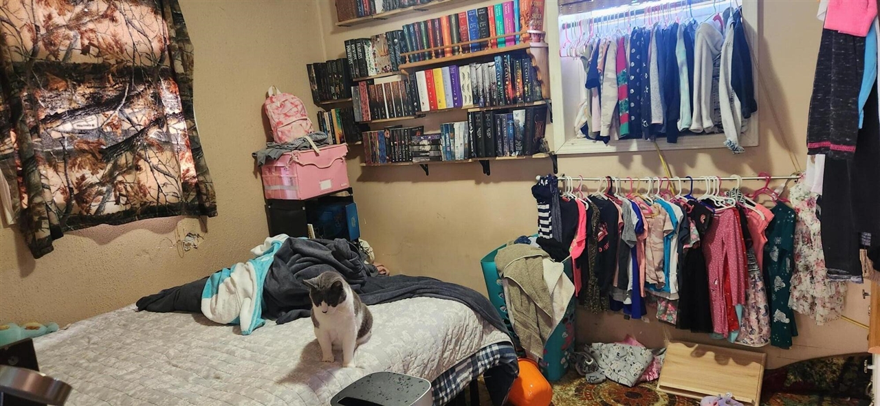 4039 N Pleasant Road, Hillsdale, MI, 49242-9623