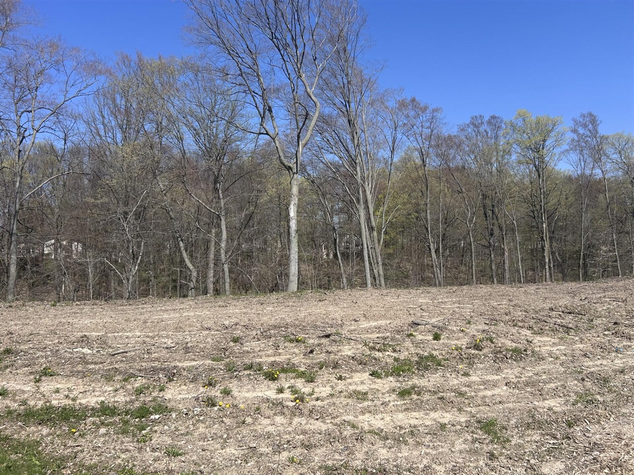 Homes for sale in Caledonia, MI | 6769 Loggers Ridge Run, Caledonia, MI 49316 | MLS# 70516339