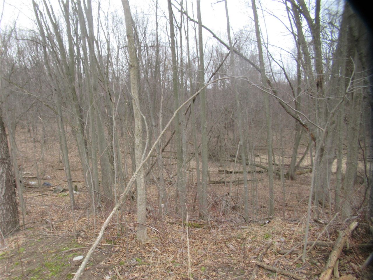 Photo of property for sale at Williamsville Street, Cassopolis MI 49031