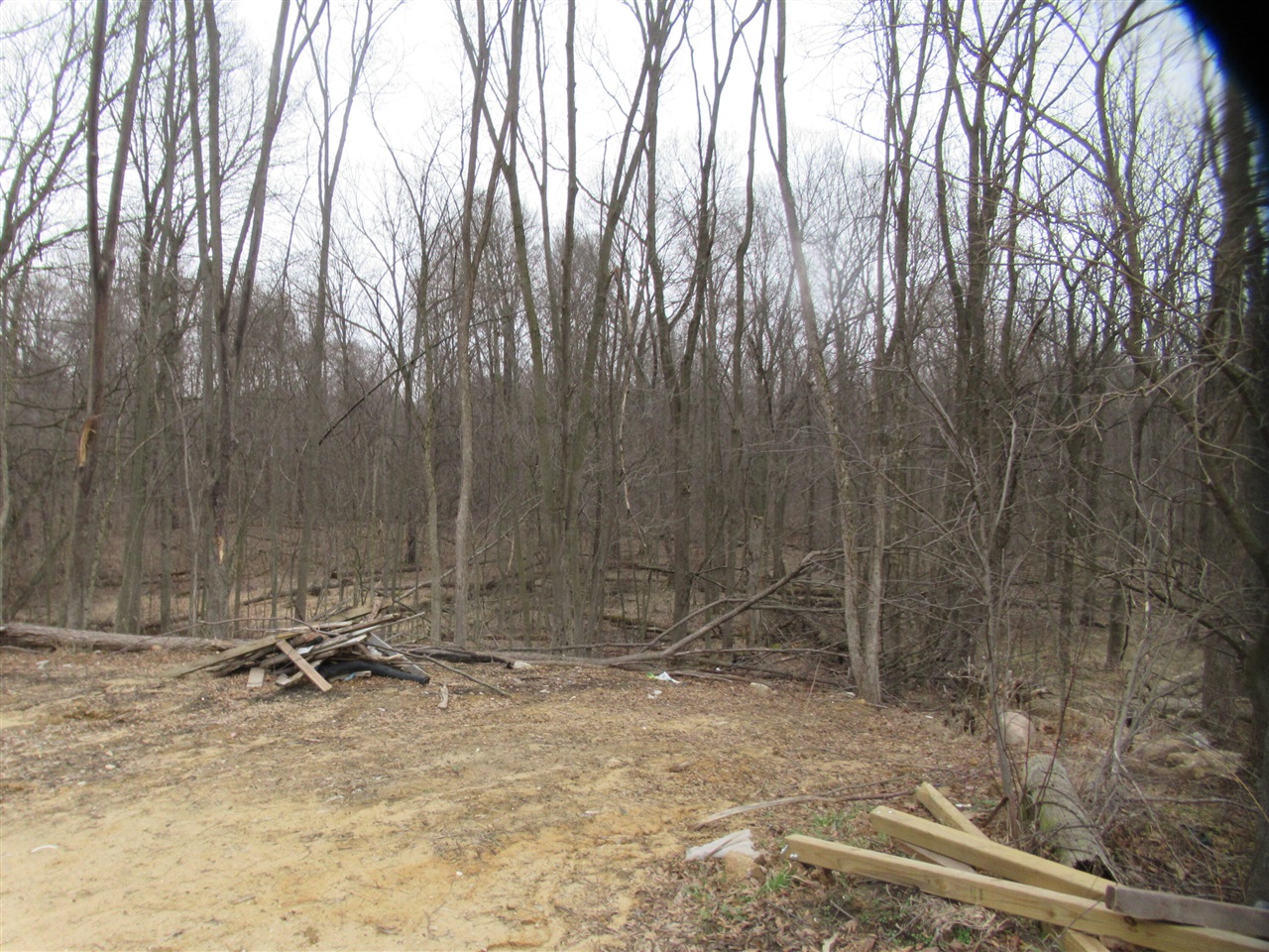 Williamsville Street photo 2