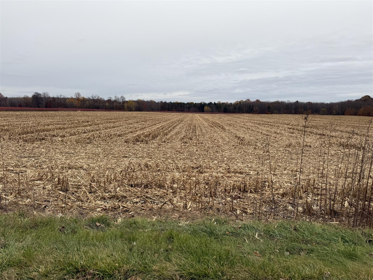 VL 2ac. County Road 687 Division 1 photo 1