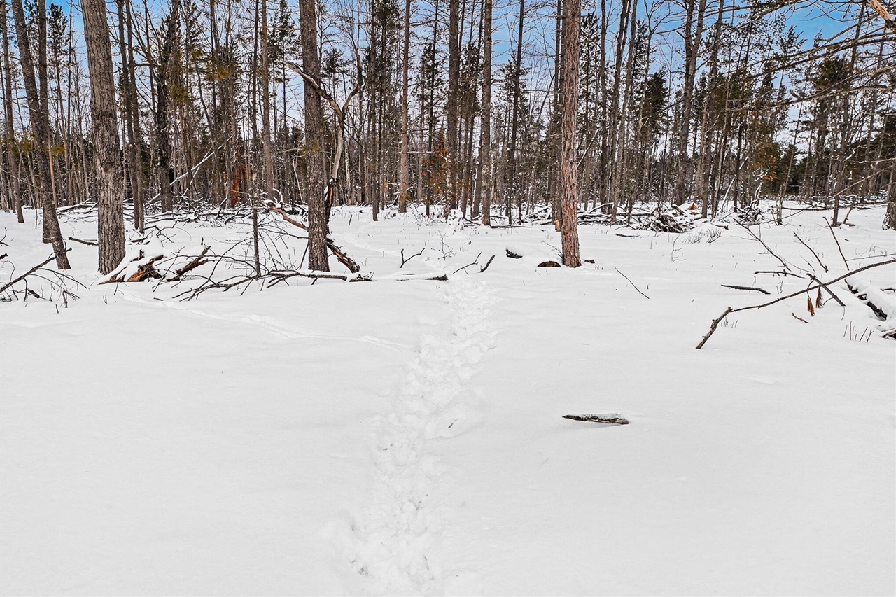 Homes for sale in Lake City, MI | 0 Vl N Pioneer Rd, Lake City, MI 49651 | MLS# 70516435