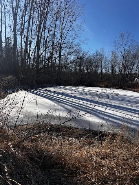 Homes for sale in South Haven, MI | 0000 102nd Ave Ave, South Haven, MI 49090 | MLS# 70516520