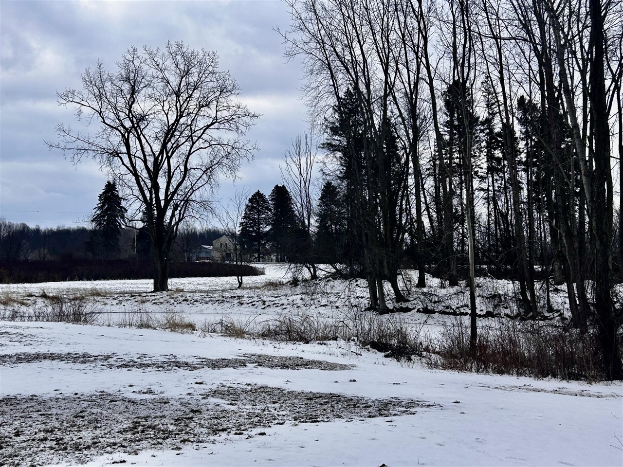 Homes for sale in South Haven, MI | 0000 102nd Ave Ave, South Haven, MI 49090 | MLS# 70516520